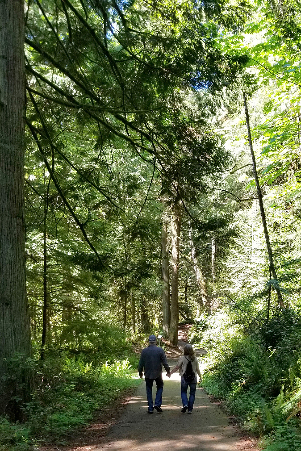 Ludlow Falls Interpretive Trail — Washington Trails Association